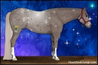 Horse Color:Silver Black 