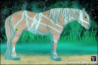 Horse Color:Thunderstruck Palomino Roan 