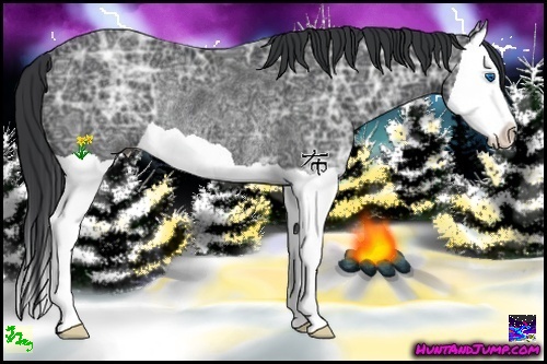 Horse Color:Black Ice Splash Rabicano 