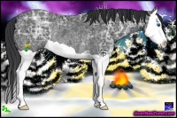 Horse Color:Black Ice Splash Rabicano