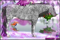 Horse Color:Smoky Black Ice Rabicano 