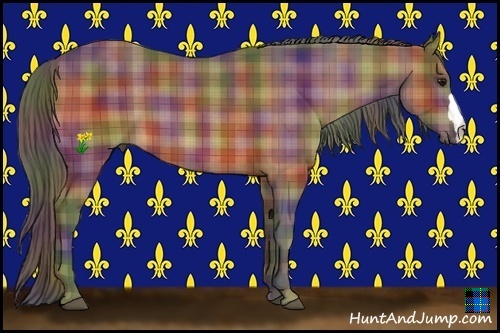 Horse Color:Nacre Plaid  Bay 