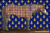 Horse Color:Nacre Plaid  Bay 