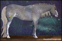Horse Color:Silver Black Sabino 