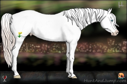 Horse Color:Chocolate Palomino Pearl Sabino Near Leopard