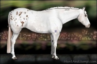Horse Color:White Spotted Chestnut Varnish 