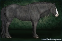 Horse Color:Black Splash Frame Brindle