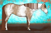 Horse Color:White Spotted Red Dun Roan Splash Frame