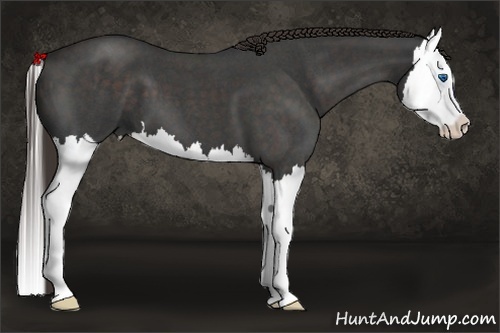 Horse Color:Liver Red Roan Splash