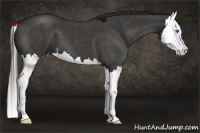 Horse Color:Liver Red Roan Splash 