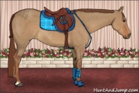 Horse Color:Red Dun Rabicano