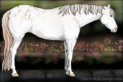 Horse Color:White Spotted Amber Cream Champagne Varnish 