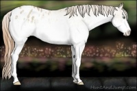 Horse Color:White Spotted Amber Cream Champagne Varnish 