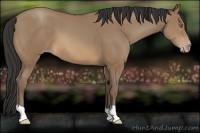 Horse Color:Sable Champagne 
