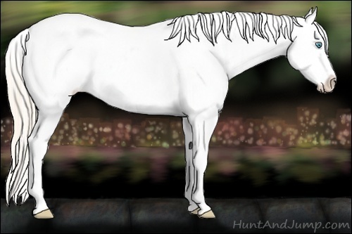 Horse Color:Perlino Roan Near Leopard Rabicano 