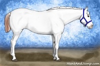 Horse Color:Bay Roan Varnish