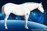 Horse Color:Bay Snowcap 