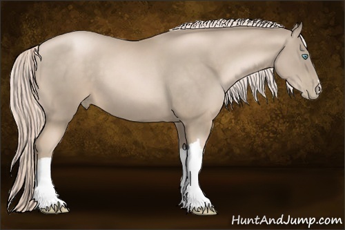 Horse Color:Chocolate Palomino Pearl 