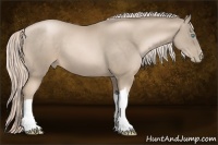 Horse Color:Chocolate Palomino Pearl 