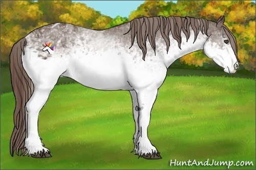 Horse Color:White Spotted Liver Chestnut Varnish