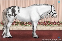 Horse Color:Liver Red Roan Varnish 