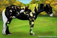 Horse Color:Watercolor Chocolate Palomino Sabino Appaloosa Rabicano 