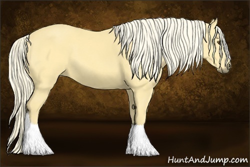 Horse Color:Palomino Dun Tobiano 