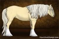 Horse Color:Palomino Dun Tobiano