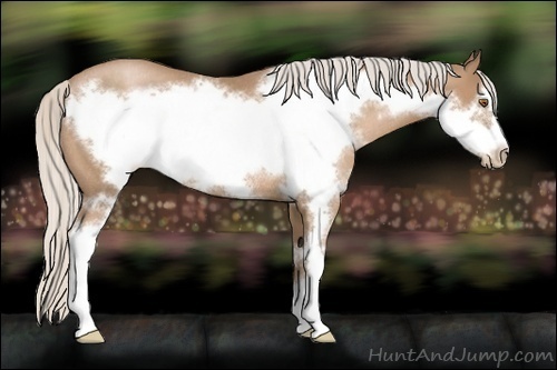 Horse Color:Silver Black Pearl Sabino Frame Rabicano