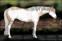 Horse Color:Silver Black Pearl Sabino Frame Rabicano