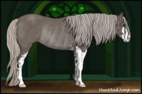Horse Color:Silver Black Sabino Rabicano 