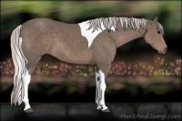 Horse Color:Silver Black Sabino Tobiano 