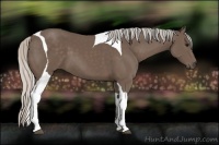 Horse Color:Silver Black Sabino Tobiano