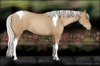 Horse Color:Silver Black Pearl Tobiano 