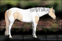 Horse Color:Classic Champagne Pearl Tobiano 