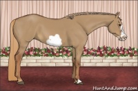 Horse Color:Red Dun Frame 