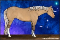 Horse Color:Silver Bay Dun 