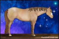 Horse Color:Brown Pearl
