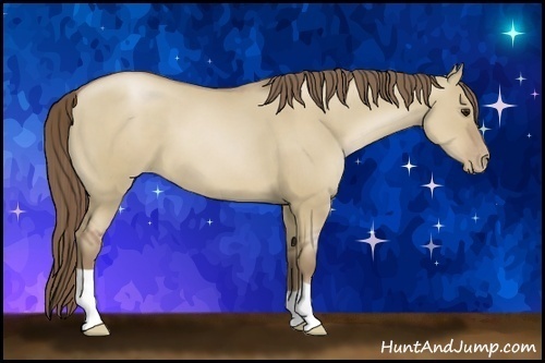 Horse Color:Grullo Pearl 