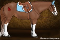 Horse Color:Chestnut Splash 