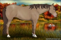 Horse Color:Classic Champagne 
