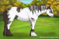 Horse Color:White Spotted Liver Chestnut Frame