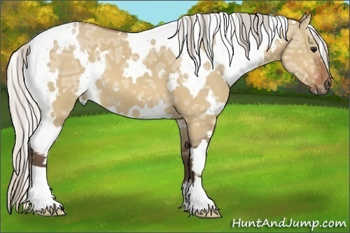 Horse Color:White Spotted Silver Bay Ice Dun