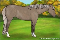 Horse Color:Silver Grullo 
