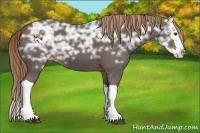 Horse Color:Liver Chestnut Ice Splash 