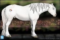 Horse Color:Chocolate Palomino Pearl Varnish 