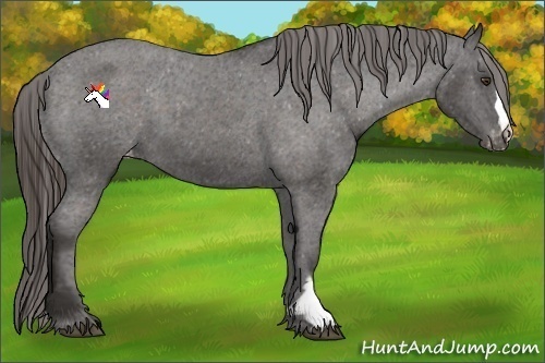Horse Color:Liver Chestnut Frame Varnish