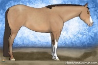Horse Color:Amber Champagne 