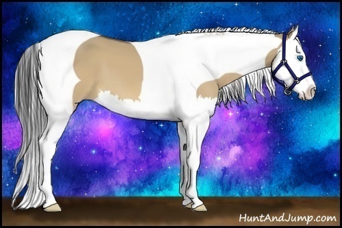 Horse Color:Bay Dun Splash Tobiano 