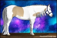 Horse Color:Bay Dun Splash Tobiano